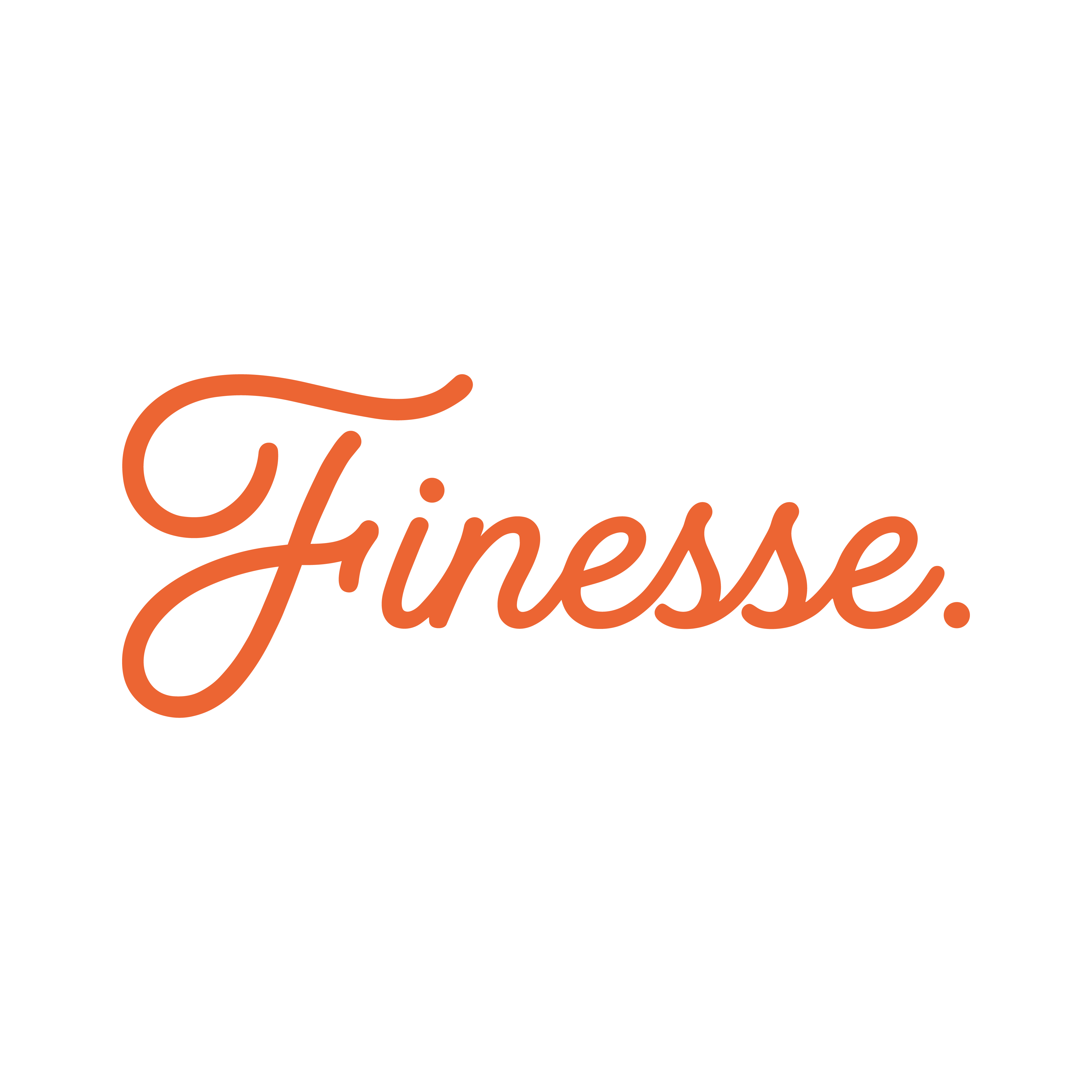 Finesse wordmark